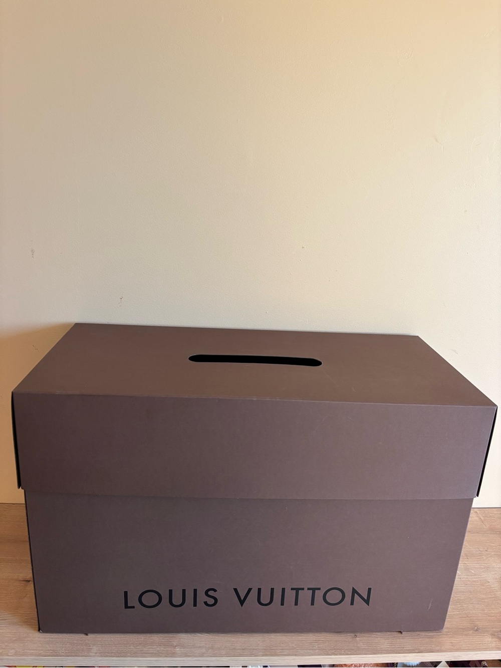 Authentic Louis Vuitton luggague box